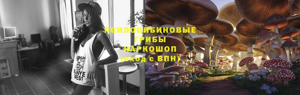 спиды Аркадак