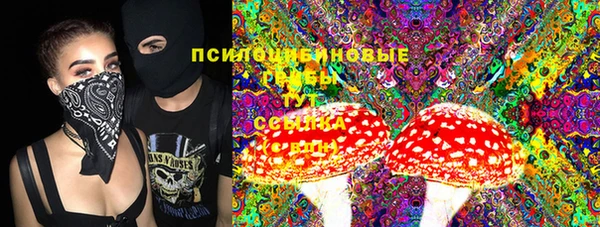 спиды Аркадак