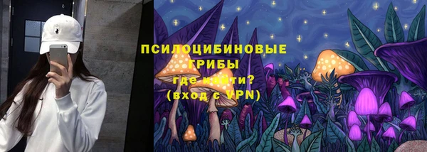 спиды Аркадак